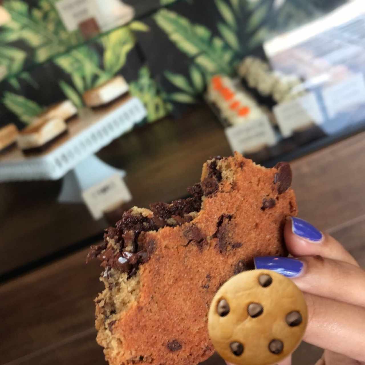 Chocolate Chip Cookie