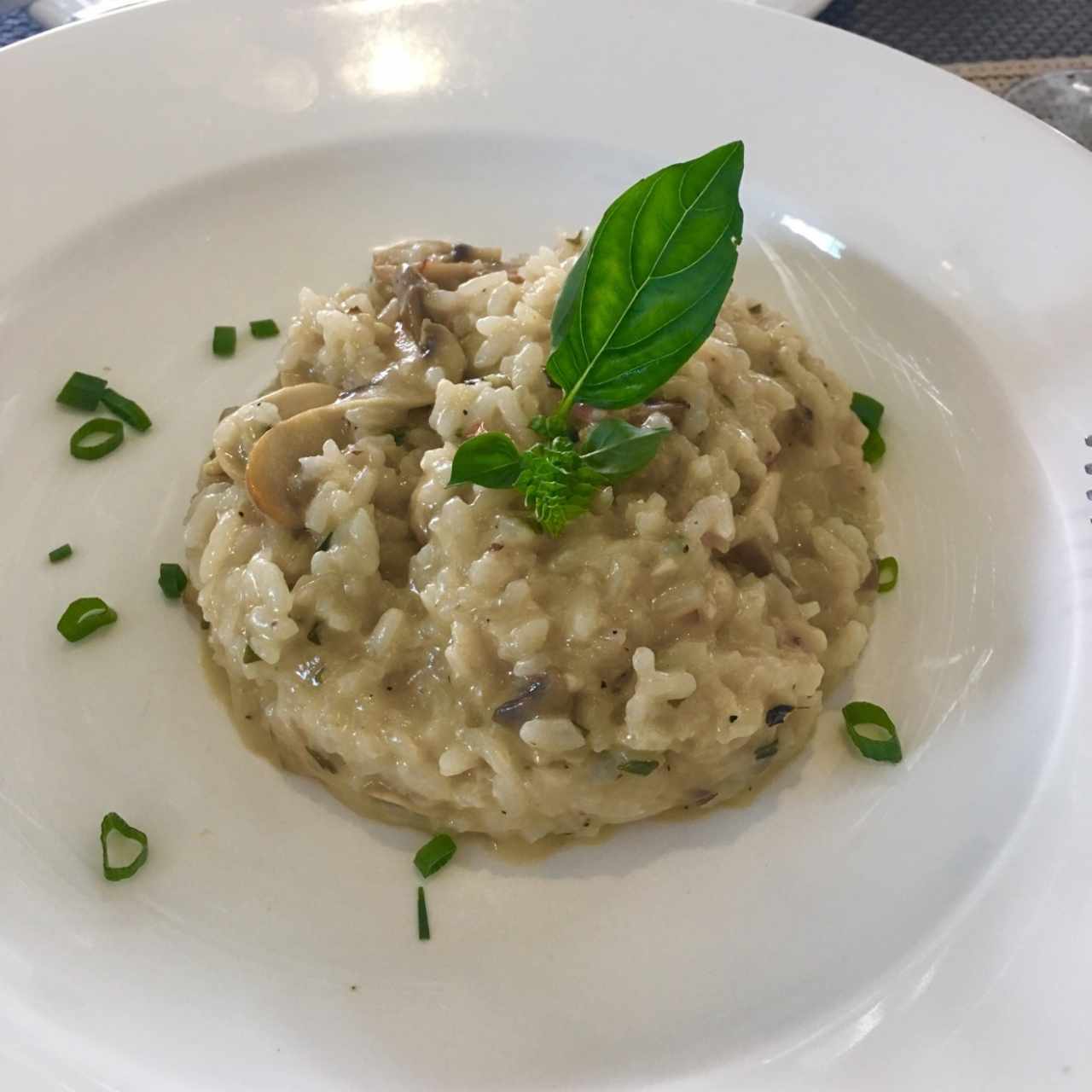 Risotto de hongos 