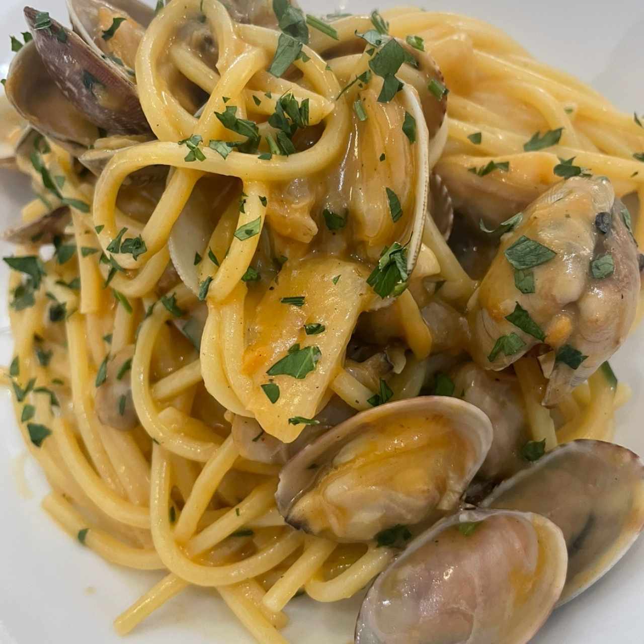 Pasta al vongole