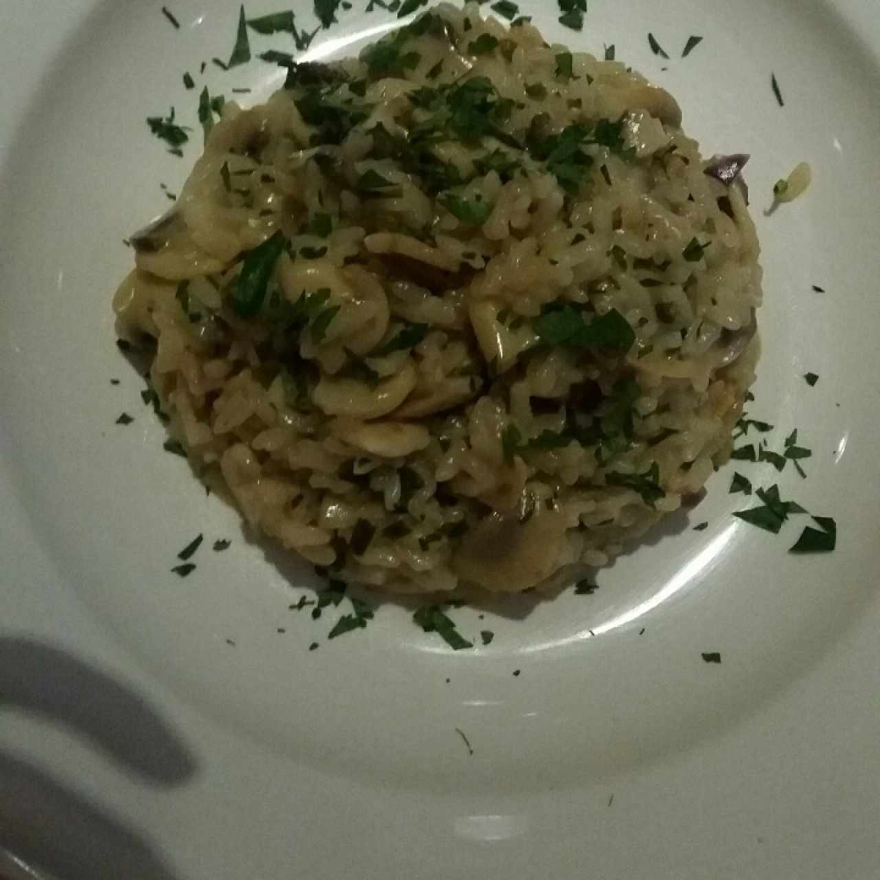 risotto funghi