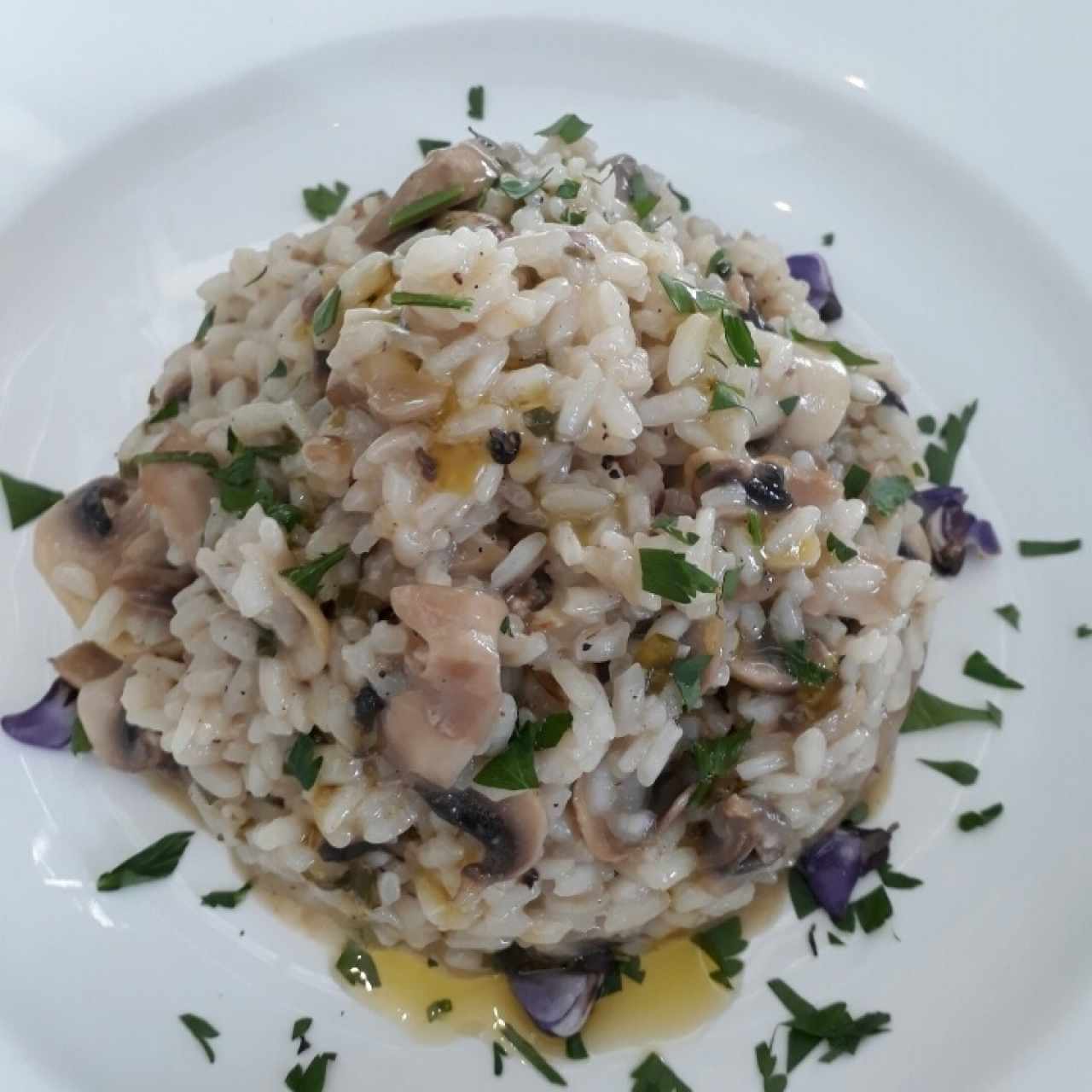 risotto funghi