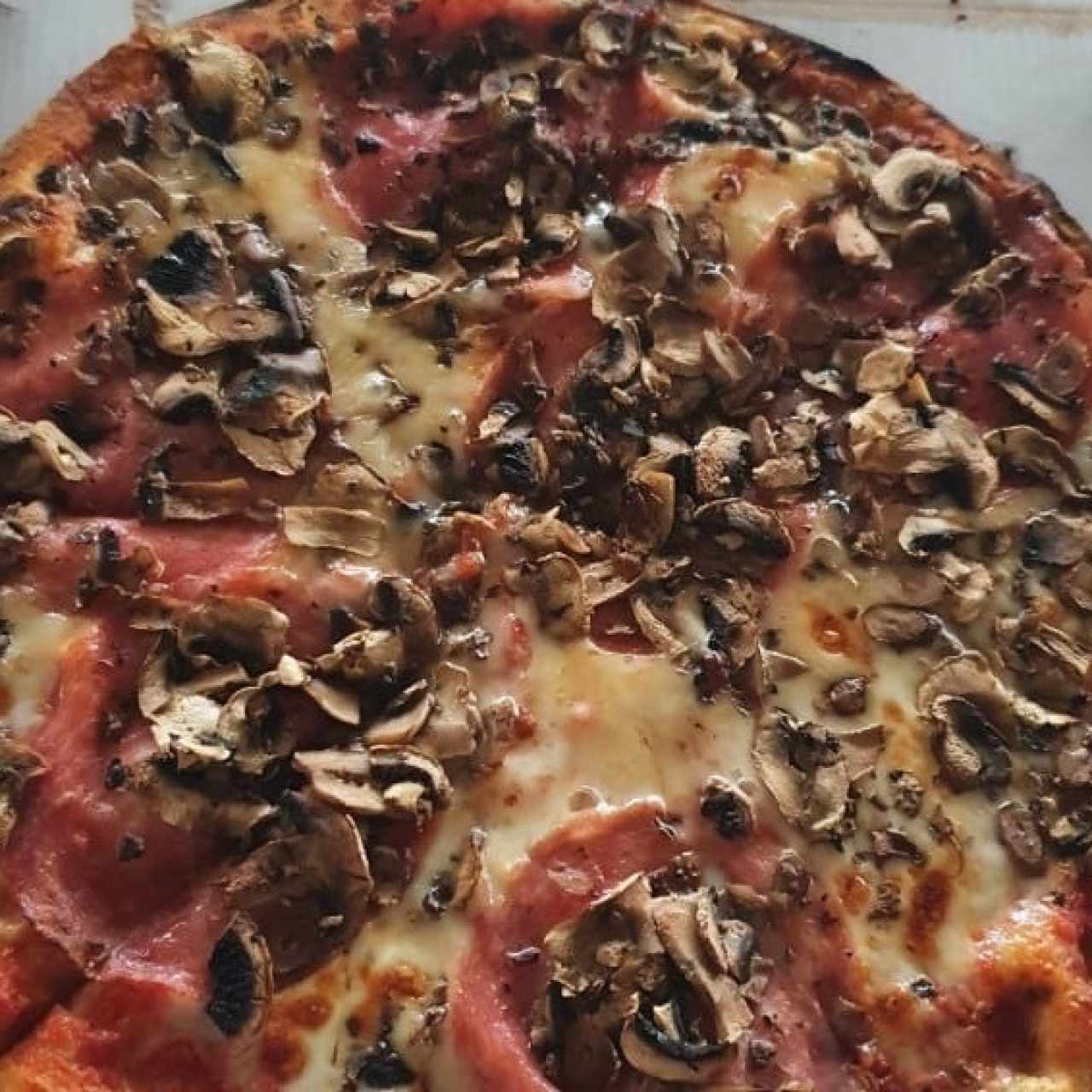 Pizza con salami y hongos, tamaño individual