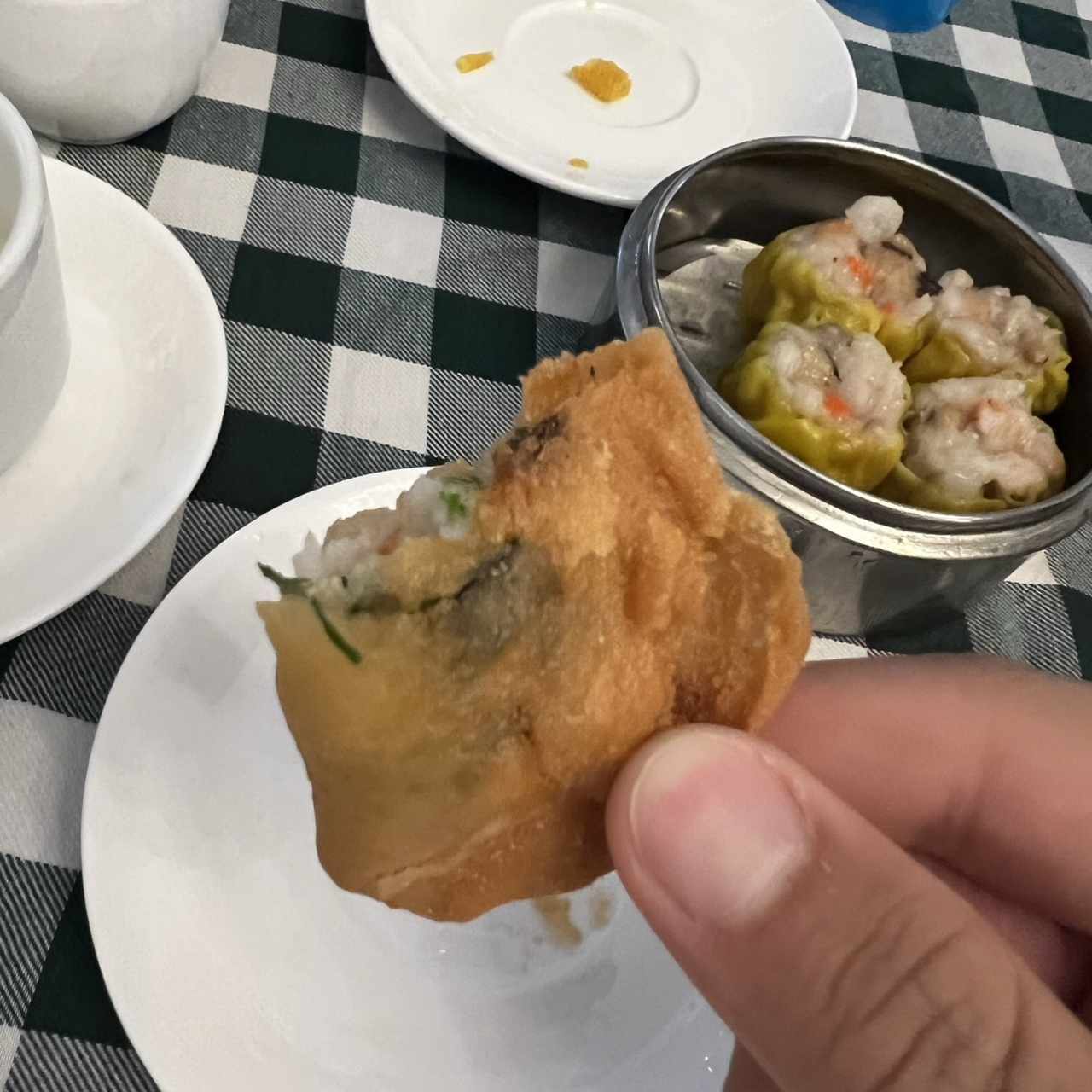 Dim Sum - Empanada China