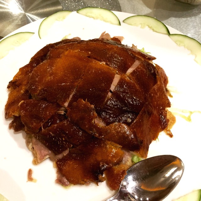 Pekin duck