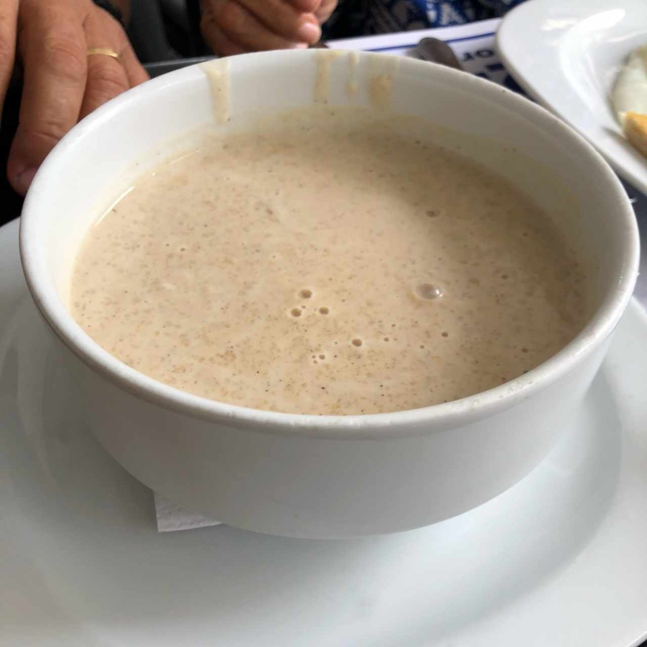 Avena