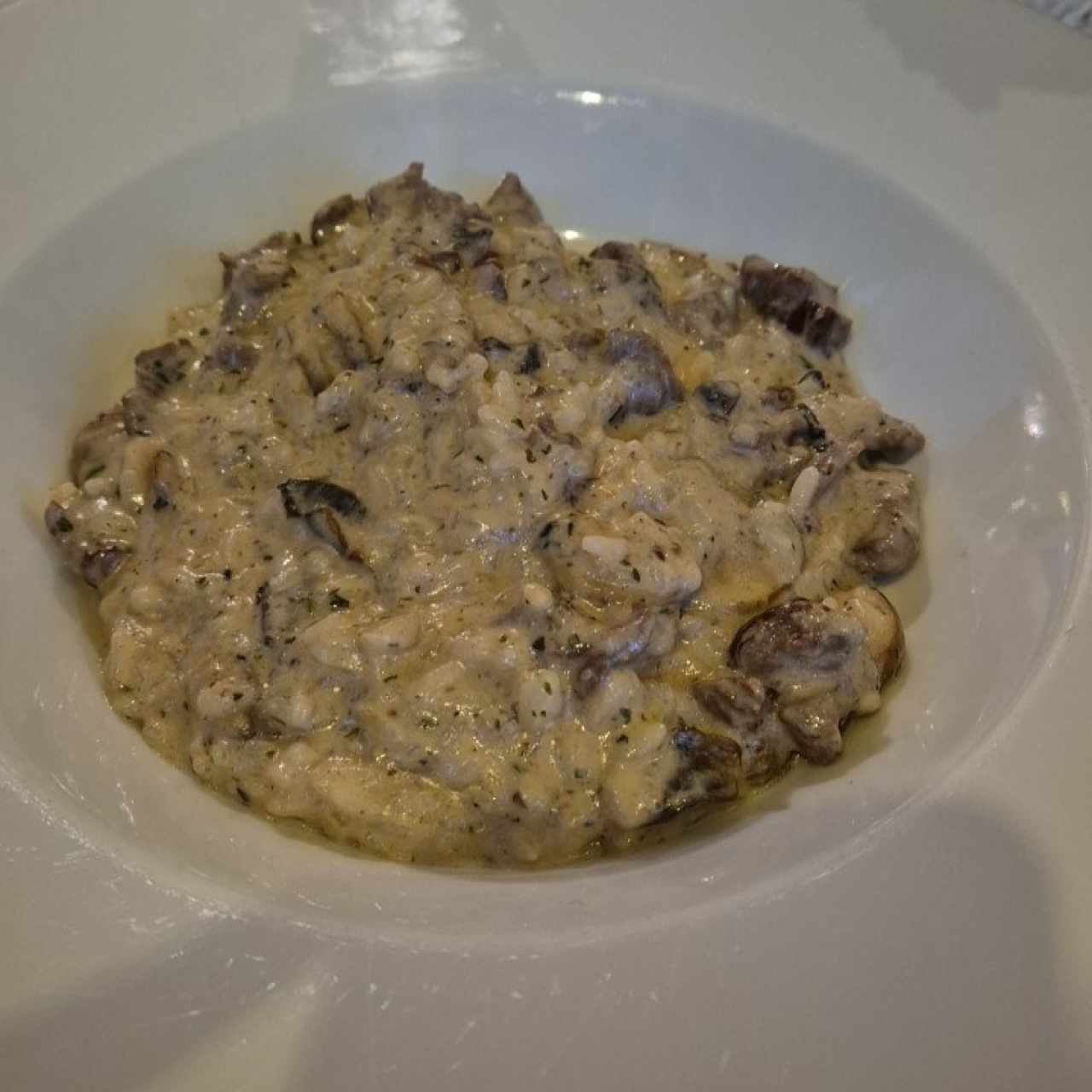 Risotto - Hongos