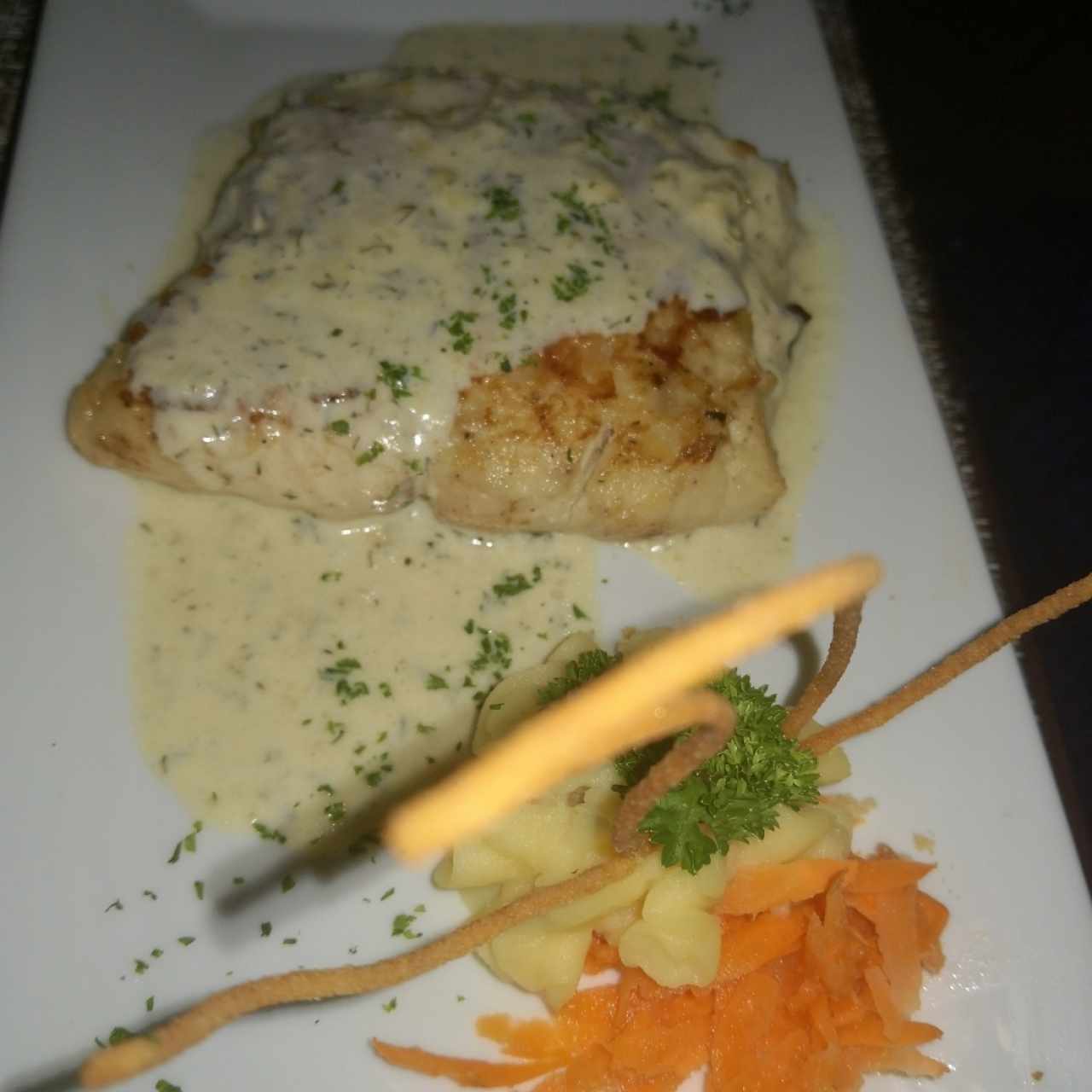 Corvina con Eneldo