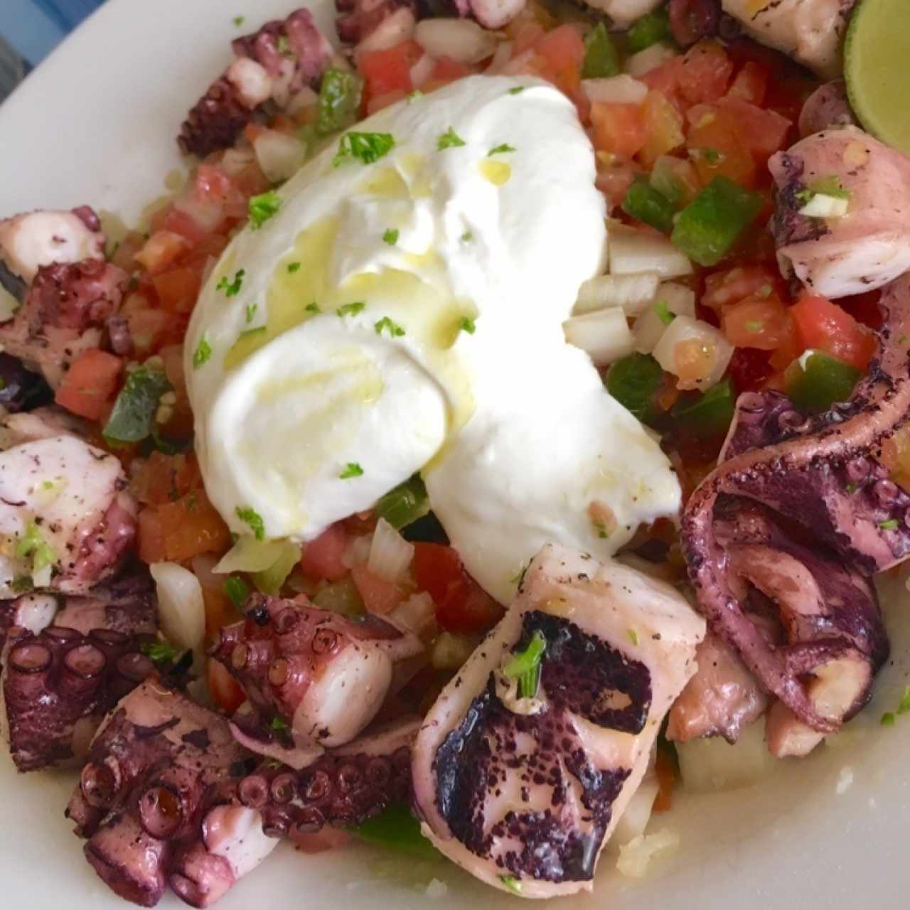 Pulpo con papas majada en salsa satziki