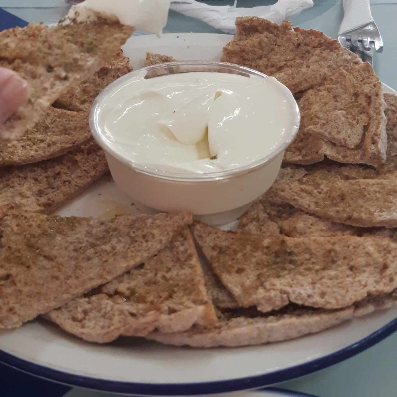 Tzatziki y pita integral