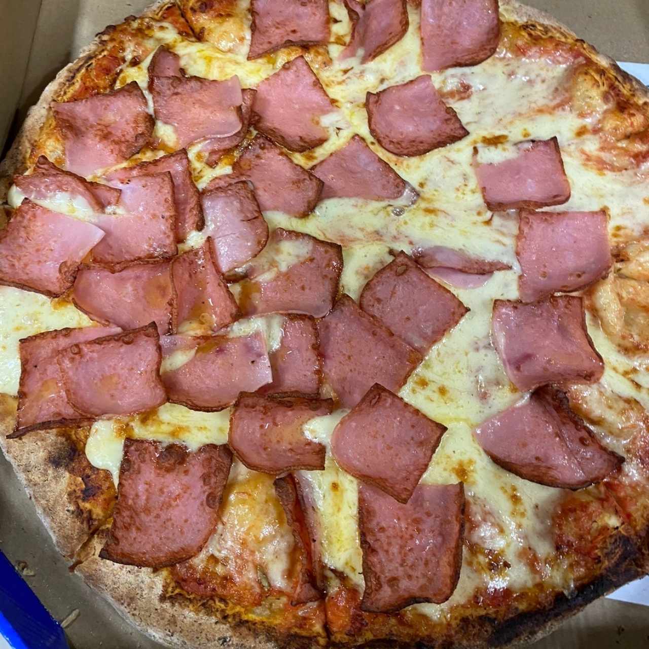 Pizza familiar de jamón 