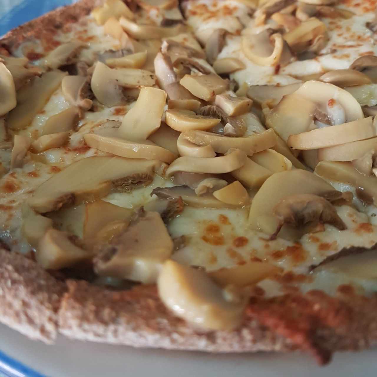 pizza masa integral con queso y champiñones. 