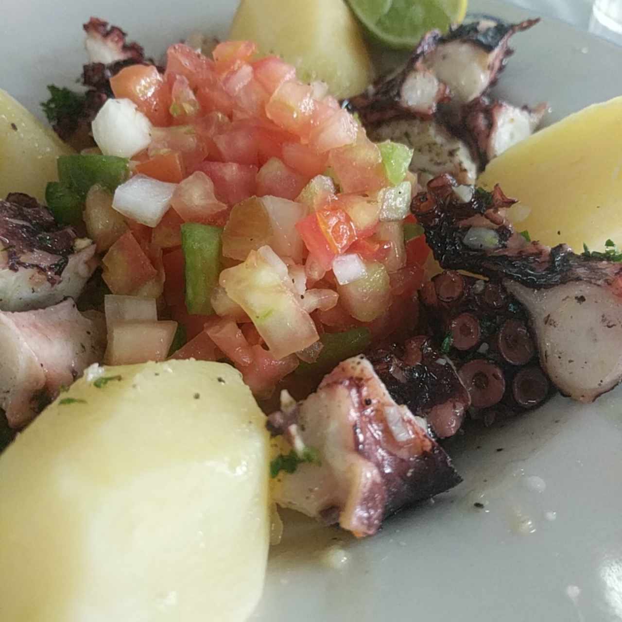 Pulpo con ensalada y papas