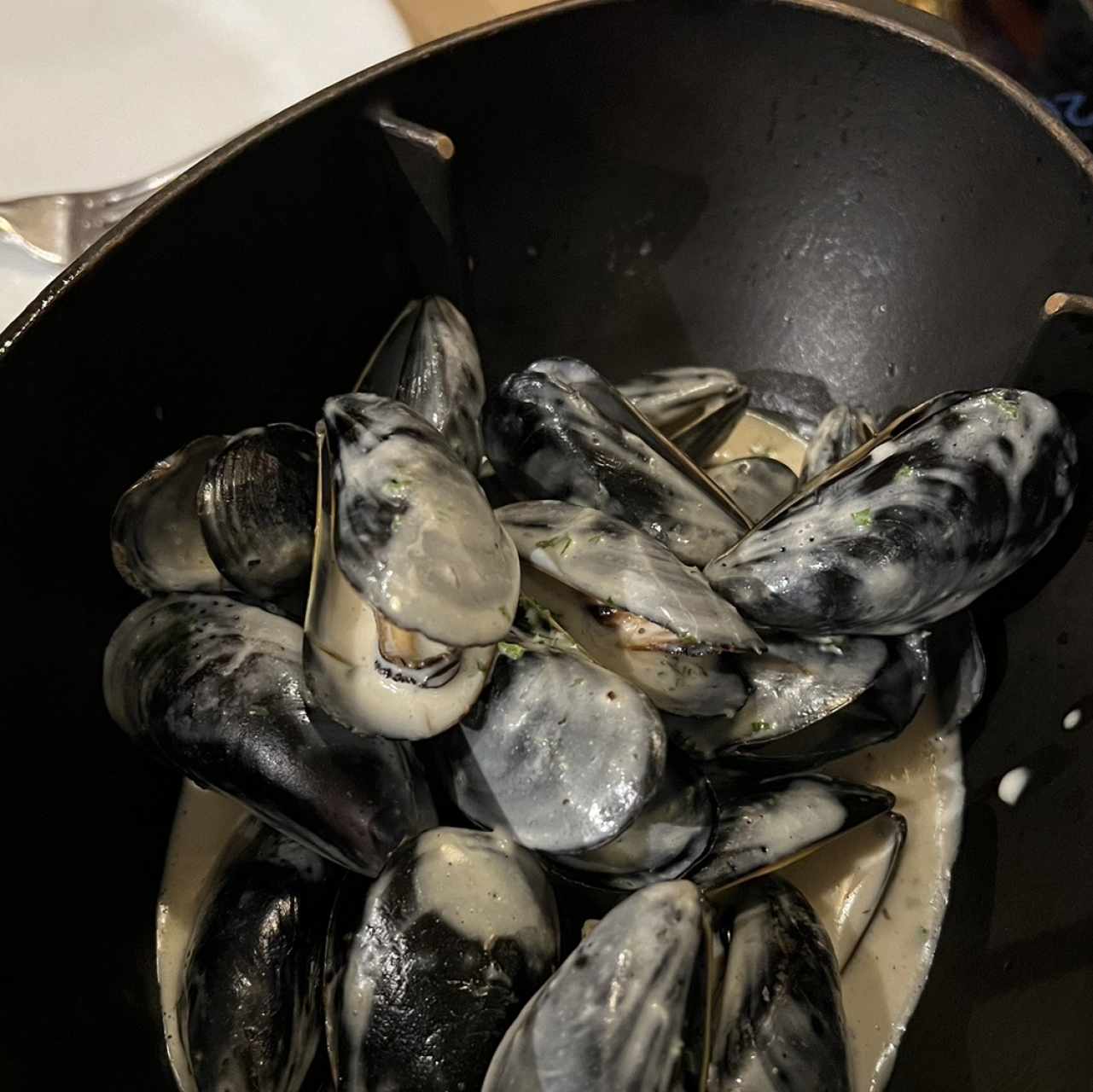 Mejillones