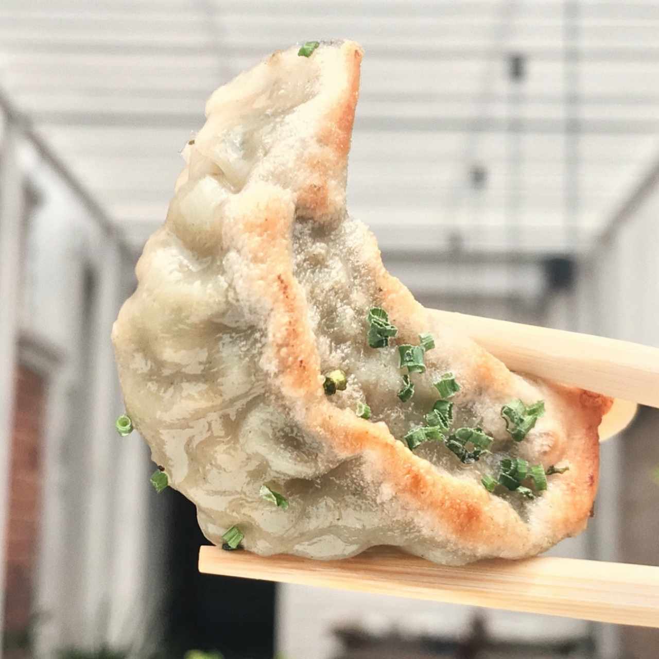 dumplings!