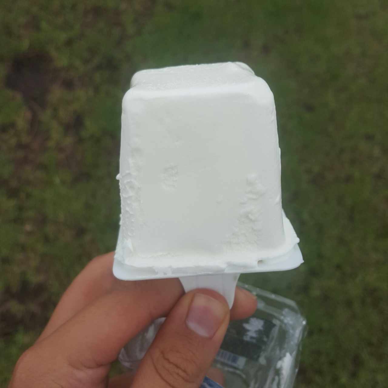 helado de yox vainilla 