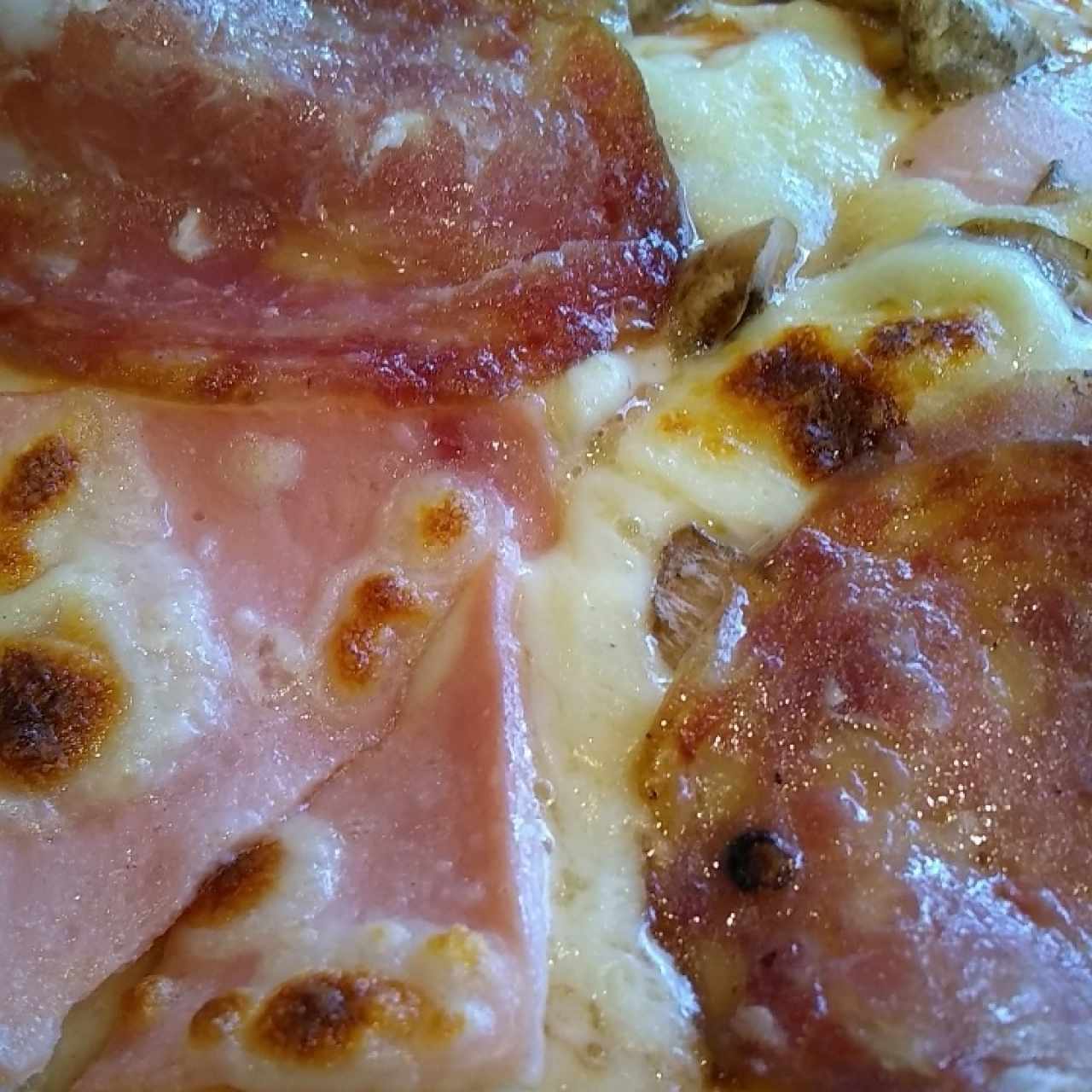 deliciosa pizza especial (jamón, queso, champiñones y salchichón) y la salsa de la casa