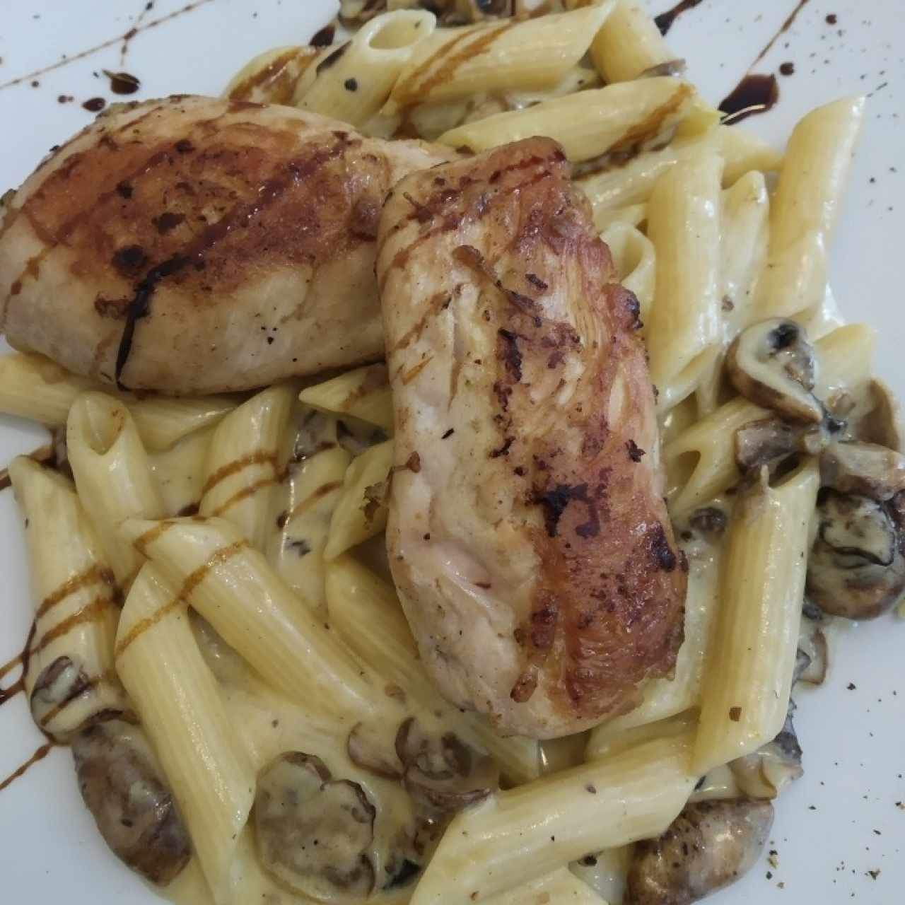 Pollo relleno con queso azul y plumitas con funghi....