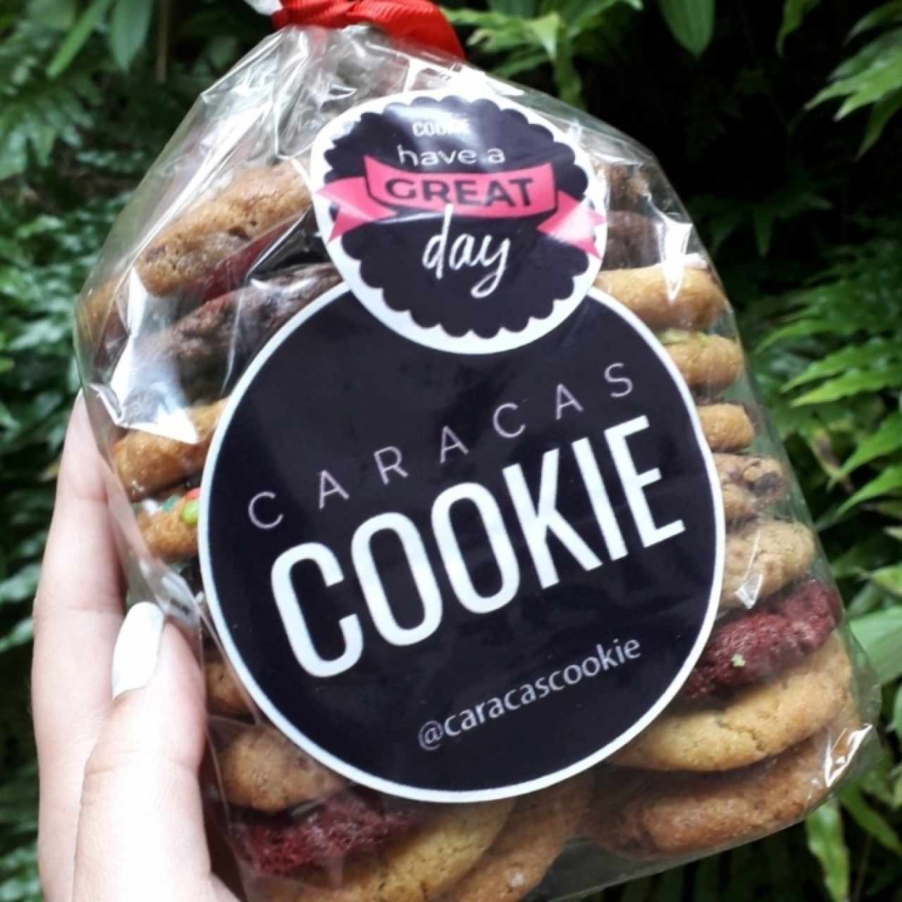 Galleticas Surtidas Caracas Cookie