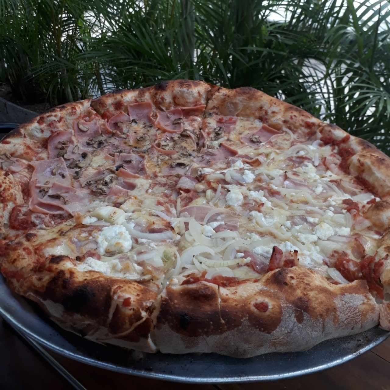 Pizza Jamón y Champiñones/ Rosa ( Queso de Cabra, Cebolla y Tocineta)